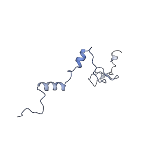 14181_7qvp_Lj_v1-1
Human collided disome (di-ribosome) stalled on XBP1 mRNA