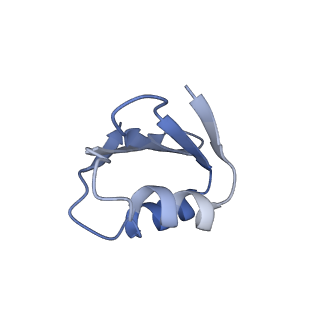 14181_7qvp_Lk_v1-1
Human collided disome (di-ribosome) stalled on XBP1 mRNA