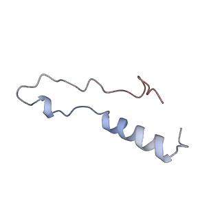 14181_7qvp_Ll_v1-1
Human collided disome (di-ribosome) stalled on XBP1 mRNA