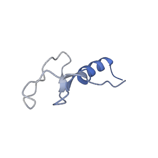 14181_7qvp_Lm_v1-1
Human collided disome (di-ribosome) stalled on XBP1 mRNA