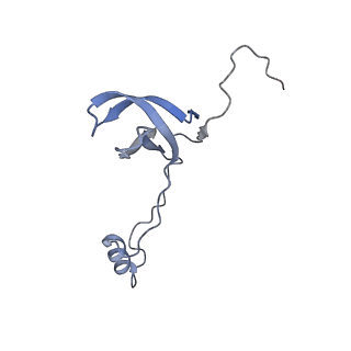14181_7qvp_Lo_v1-1
Human collided disome (di-ribosome) stalled on XBP1 mRNA