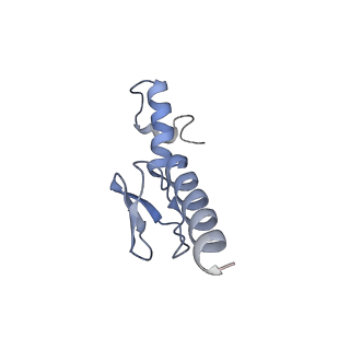 14181_7qvp_Lp_v1-1
Human collided disome (di-ribosome) stalled on XBP1 mRNA