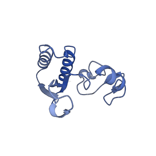 14181_7qvp_Lr_v1-1
Human collided disome (di-ribosome) stalled on XBP1 mRNA
