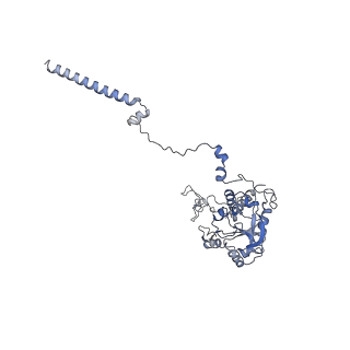14181_7qvp_MC_v1-1
Human collided disome (di-ribosome) stalled on XBP1 mRNA