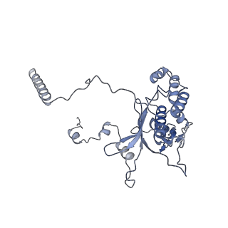 14181_7qvp_MD_v1-1
Human collided disome (di-ribosome) stalled on XBP1 mRNA