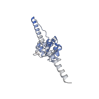 14181_7qvp_MF_v1-1
Human collided disome (di-ribosome) stalled on XBP1 mRNA