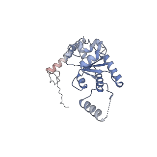 14181_7qvp_MG_v1-1
Human collided disome (di-ribosome) stalled on XBP1 mRNA