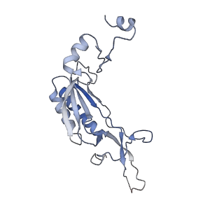 14181_7qvp_MI_v1-1
Human collided disome (di-ribosome) stalled on XBP1 mRNA
