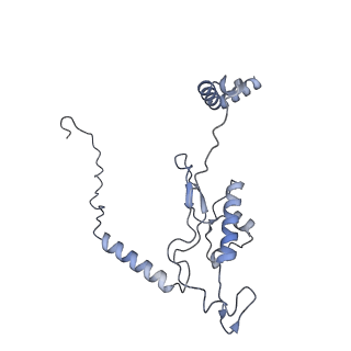 14181_7qvp_ML_v1-1
Human collided disome (di-ribosome) stalled on XBP1 mRNA