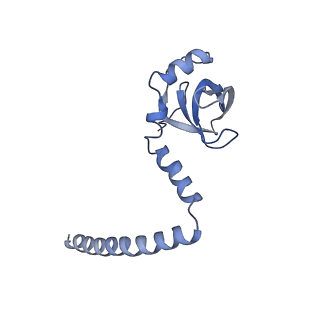 14181_7qvp_MM_v1-1
Human collided disome (di-ribosome) stalled on XBP1 mRNA