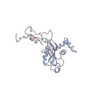14181_7qvp_MN_v1-1
Human collided disome (di-ribosome) stalled on XBP1 mRNA