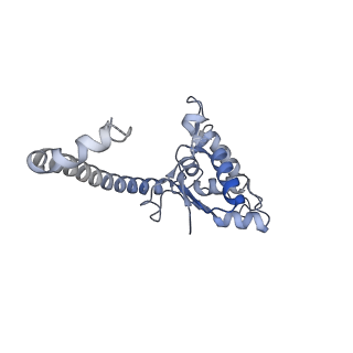 14181_7qvp_MO_v1-1
Human collided disome (di-ribosome) stalled on XBP1 mRNA