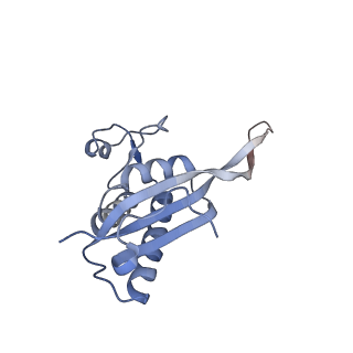 14181_7qvp_MP_v1-1
Human collided disome (di-ribosome) stalled on XBP1 mRNA