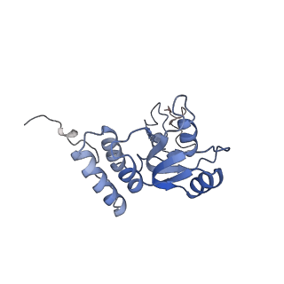 14181_7qvp_MQ_v1-1
Human collided disome (di-ribosome) stalled on XBP1 mRNA