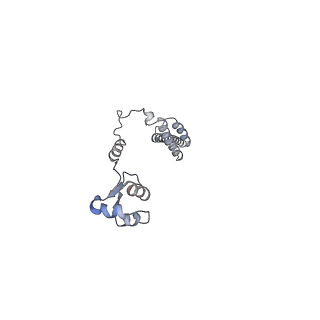 14181_7qvp_MR_v1-1
Human collided disome (di-ribosome) stalled on XBP1 mRNA