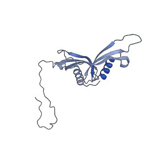 14181_7qvp_MS_v1-1
Human collided disome (di-ribosome) stalled on XBP1 mRNA