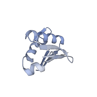 14181_7qvp_MU_v1-1
Human collided disome (di-ribosome) stalled on XBP1 mRNA