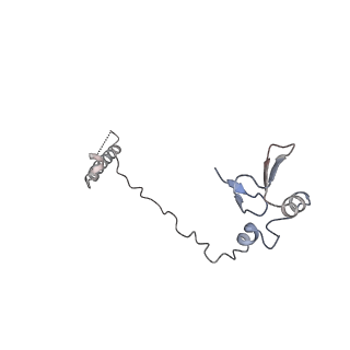 14181_7qvp_MW_v1-1
Human collided disome (di-ribosome) stalled on XBP1 mRNA