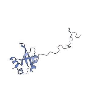 14181_7qvp_MX_v1-1
Human collided disome (di-ribosome) stalled on XBP1 mRNA