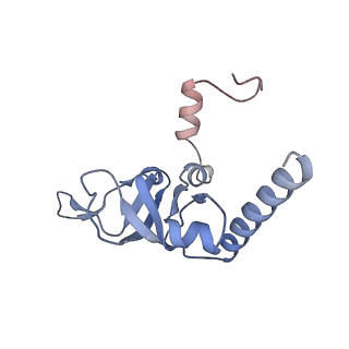 14181_7qvp_MY_v1-1
Human collided disome (di-ribosome) stalled on XBP1 mRNA