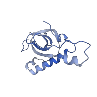 14181_7qvp_MZ_v1-1
Human collided disome (di-ribosome) stalled on XBP1 mRNA