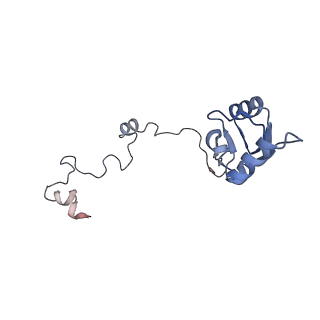 14181_7qvp_Ma_v1-1
Human collided disome (di-ribosome) stalled on XBP1 mRNA