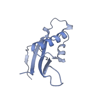 14181_7qvp_Md_v1-1
Human collided disome (di-ribosome) stalled on XBP1 mRNA