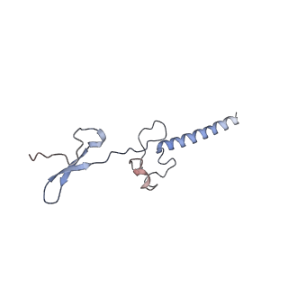 14181_7qvp_Mg_v1-1
Human collided disome (di-ribosome) stalled on XBP1 mRNA