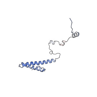 14181_7qvp_Mh_v1-1
Human collided disome (di-ribosome) stalled on XBP1 mRNA