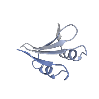 14181_7qvp_Mk_v1-1
Human collided disome (di-ribosome) stalled on XBP1 mRNA