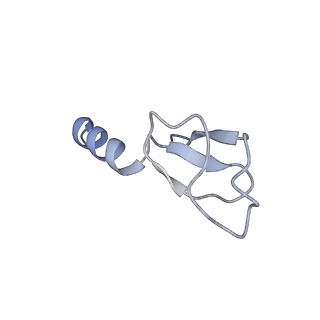 14181_7qvp_Mm_v1-1
Human collided disome (di-ribosome) stalled on XBP1 mRNA
