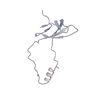 14181_7qvp_Mo_v1-1
Human collided disome (di-ribosome) stalled on XBP1 mRNA