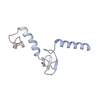 14181_7qvp_Mp_v1-1
Human collided disome (di-ribosome) stalled on XBP1 mRNA