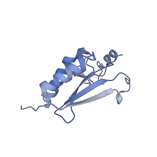 14181_7qvp_Mr_v1-1
Human collided disome (di-ribosome) stalled on XBP1 mRNA