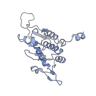 14181_7qvp_RA_v1-1
Human collided disome (di-ribosome) stalled on XBP1 mRNA