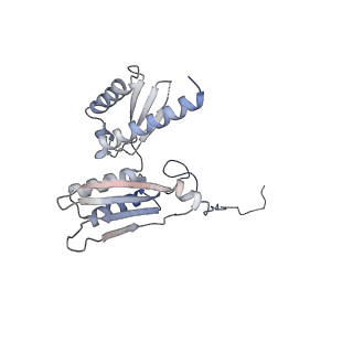 14181_7qvp_RD_v1-1
Human collided disome (di-ribosome) stalled on XBP1 mRNA