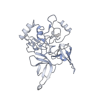 14181_7qvp_RE_v1-1
Human collided disome (di-ribosome) stalled on XBP1 mRNA