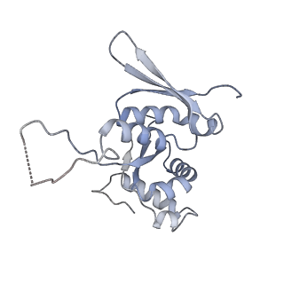 14181_7qvp_RH_v1-1
Human collided disome (di-ribosome) stalled on XBP1 mRNA