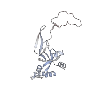 14181_7qvp_RI_v1-1
Human collided disome (di-ribosome) stalled on XBP1 mRNA
