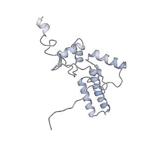 14181_7qvp_RJ_v1-1
Human collided disome (di-ribosome) stalled on XBP1 mRNA