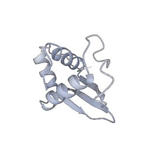 14181_7qvp_RK_v1-1
Human collided disome (di-ribosome) stalled on XBP1 mRNA