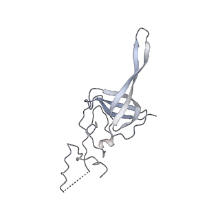 14181_7qvp_RL_v1-1
Human collided disome (di-ribosome) stalled on XBP1 mRNA