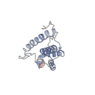 14181_7qvp_RN_v1-1
Human collided disome (di-ribosome) stalled on XBP1 mRNA