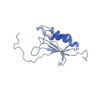 14181_7qvp_RO_v1-1
Human collided disome (di-ribosome) stalled on XBP1 mRNA