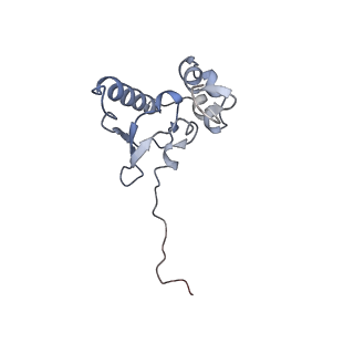 14181_7qvp_RP_v1-1
Human collided disome (di-ribosome) stalled on XBP1 mRNA