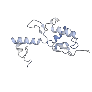 14181_7qvp_RS_v1-1
Human collided disome (di-ribosome) stalled on XBP1 mRNA