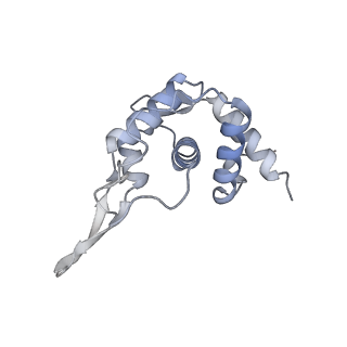 14181_7qvp_RT_v1-1
Human collided disome (di-ribosome) stalled on XBP1 mRNA
