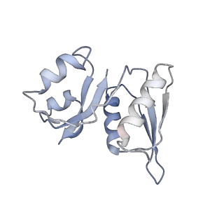 14181_7qvp_RW_v1-1
Human collided disome (di-ribosome) stalled on XBP1 mRNA