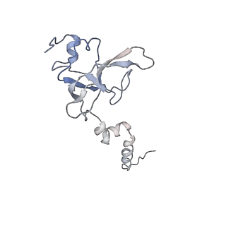 14181_7qvp_RX_v1-1
Human collided disome (di-ribosome) stalled on XBP1 mRNA