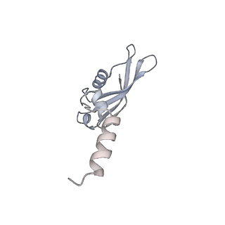 14181_7qvp_RY_v1-1
Human collided disome (di-ribosome) stalled on XBP1 mRNA